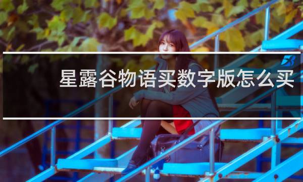 星露谷物语买数字版怎么买