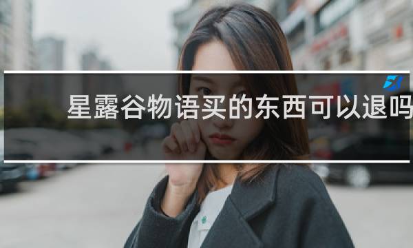 星露谷物语买的东西可以退吗