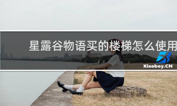 星露谷物语买的楼梯怎么使用