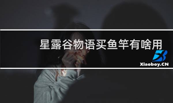 星露谷物语买鱼竿有啥用