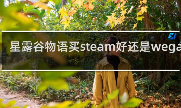 星露谷物语买steam好还是wegame