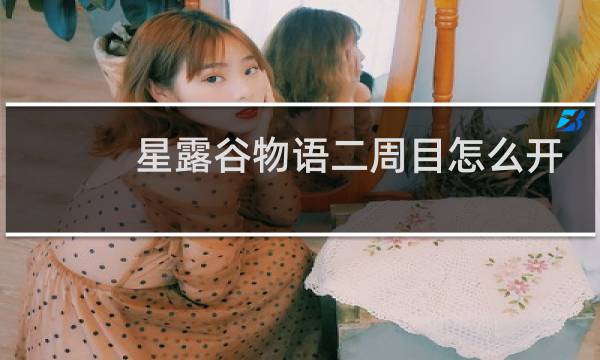星露谷物语二周目怎么开