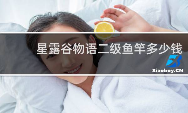 星露谷物语二级鱼竿多少钱