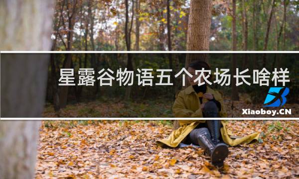 星露谷物语五个农场长啥样