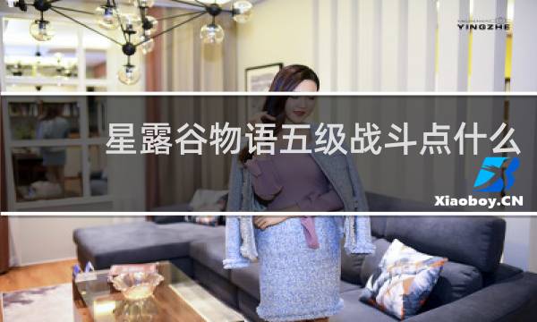星露谷物语五级战斗点什么