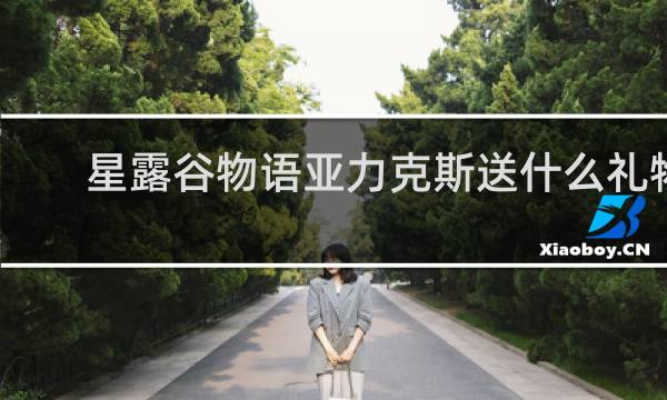 星露谷物语亚力克斯送什么礼物