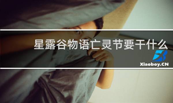 星露谷物语亡灵节要干什么