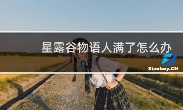 星露谷物语人满了怎么办