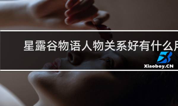 星露谷物语人物关系好有什么用