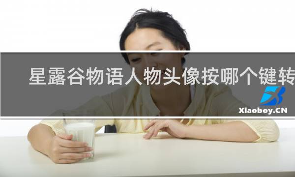 星露谷物语人物头像按哪个键转换