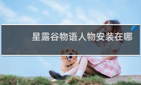 星露谷物语人物安装在哪