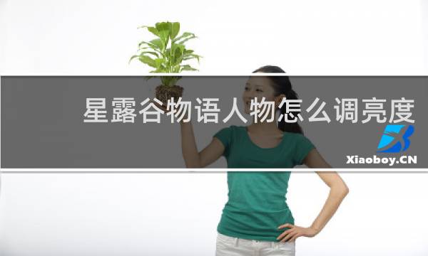 星露谷物语人物怎么调亮度