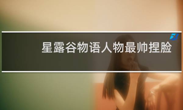 星露谷物语人物最帅捏脸