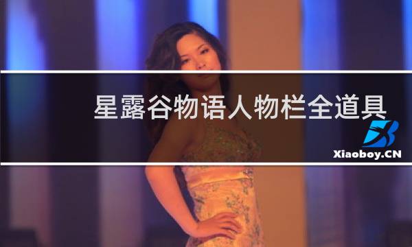 星露谷物语人物栏全道具