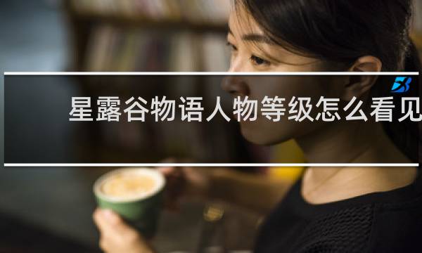 星露谷物语人物等级怎么看见