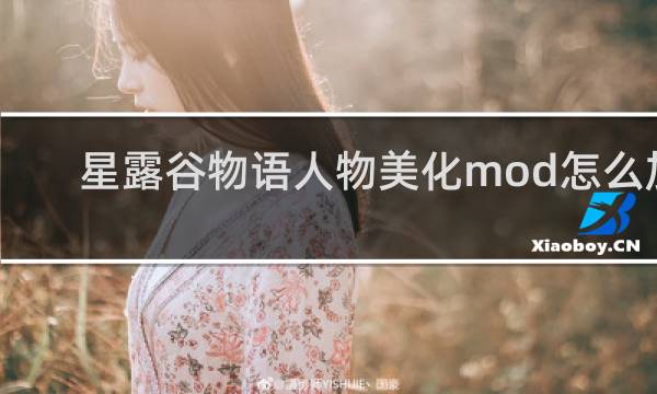 星露谷物语人物美化mod怎么加