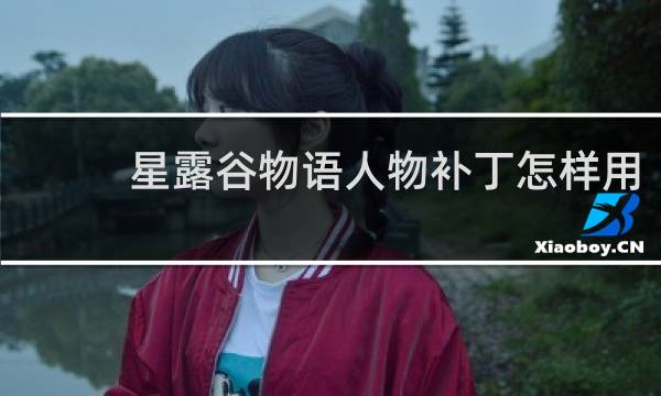 星露谷物语人物补丁怎样用