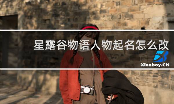 星露谷物语人物起名怎么改