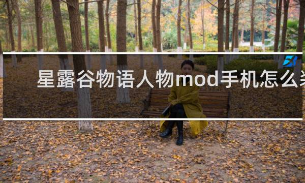 星露谷物语人物mod手机怎么装