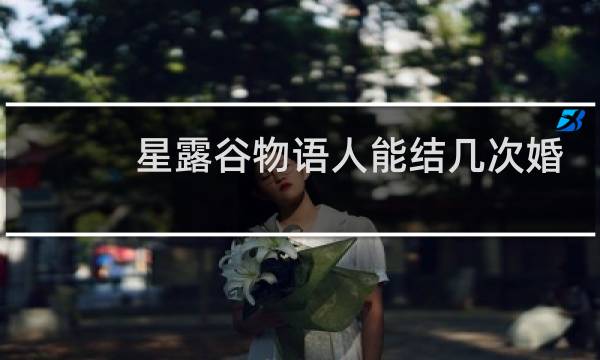 星露谷物语人能结几次婚
