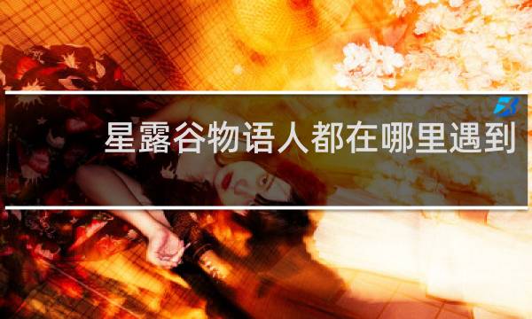星露谷物语人都在哪里遇到