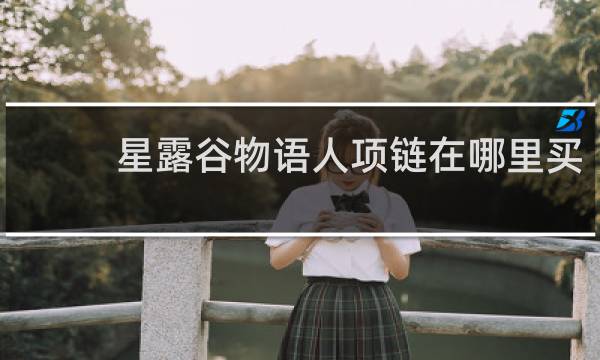 星露谷物语人项链在哪里买