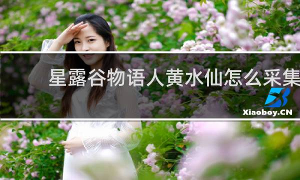 星露谷物语人黄水仙怎么采集