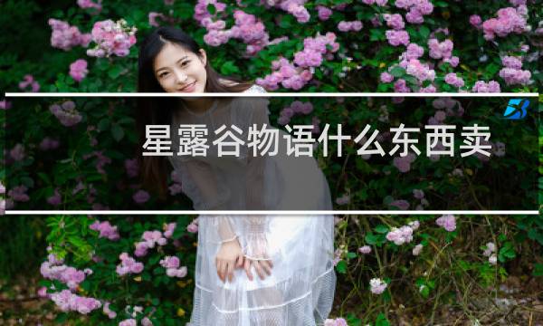 星露谷物语什么东西卖