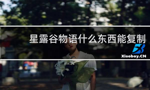星露谷物语什么东西能复制