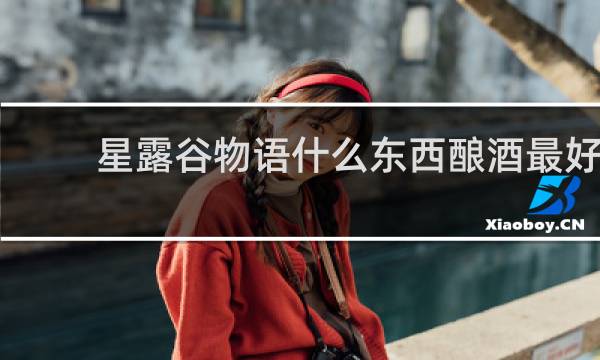 星露谷物语什么东西酿酒最好