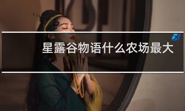 星露谷物语什么农场最大