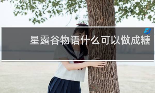 星露谷物语什么可以做成糖
