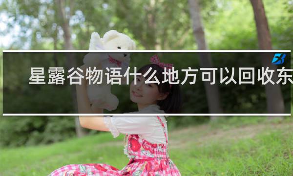 星露谷物语什么地方可以回收东西