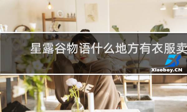 星露谷物语什么地方有衣服卖