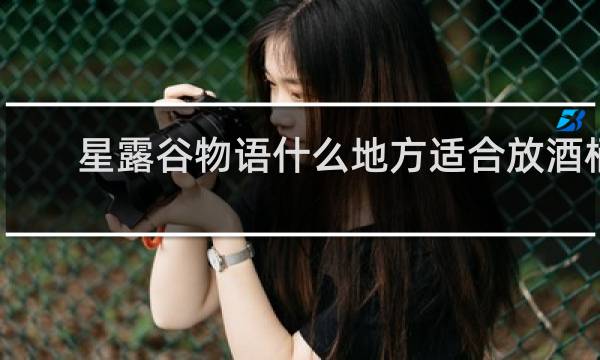 星露谷物语什么地方适合放酒桶