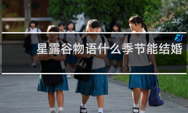 星露谷物语什么季节能结婚