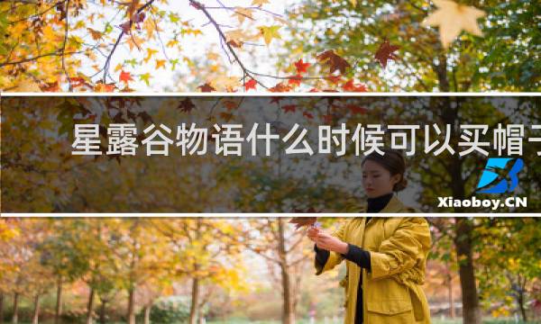 星露谷物语什么时候可以买帽子