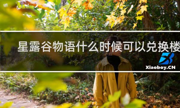 星露谷物语什么时候可以兑换楼梯