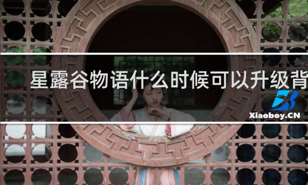 星露谷物语什么时候可以升级背包
