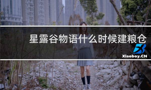 星露谷物语什么时候建粮仓