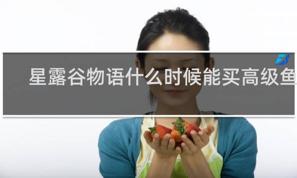 星露谷物语什么时候能买高级鱼竿