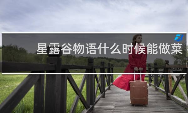 星露谷物语什么时候能做菜