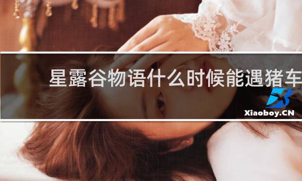 星露谷物语什么时候能遇猪车