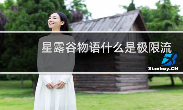 星露谷物语什么是极限流