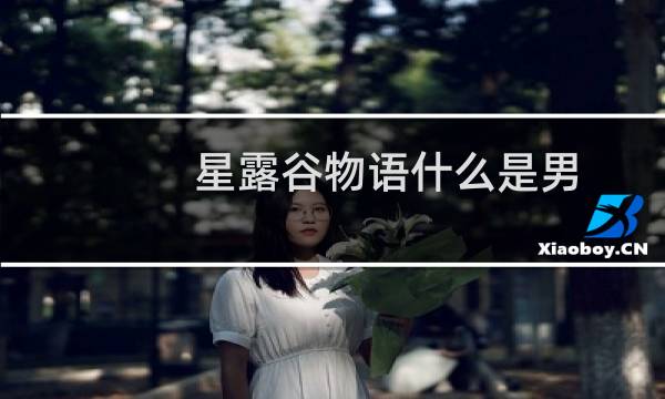 星露谷物语什么是男