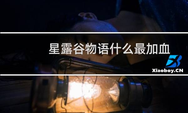 星露谷物语什么最加血