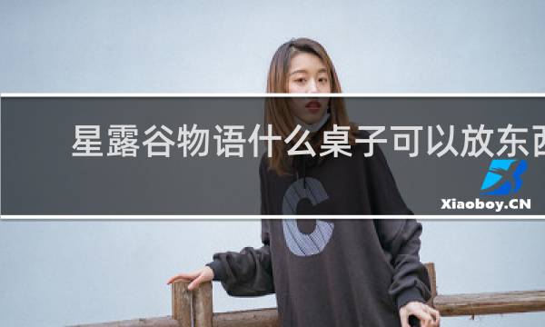 星露谷物语什么桌子可以放东西