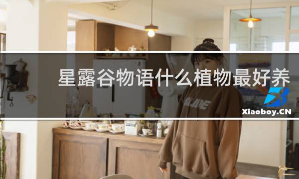 星露谷物语什么植物最好养