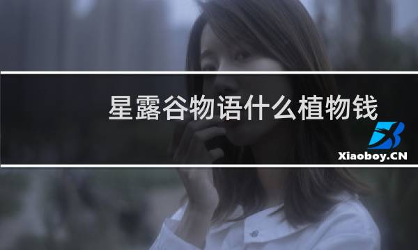 星露谷物语什么植物钱