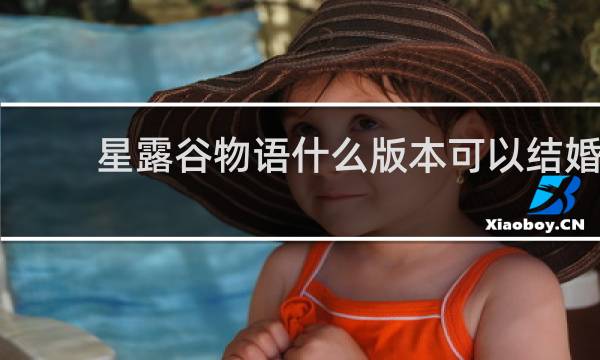 星露谷物语什么版本可以结婚